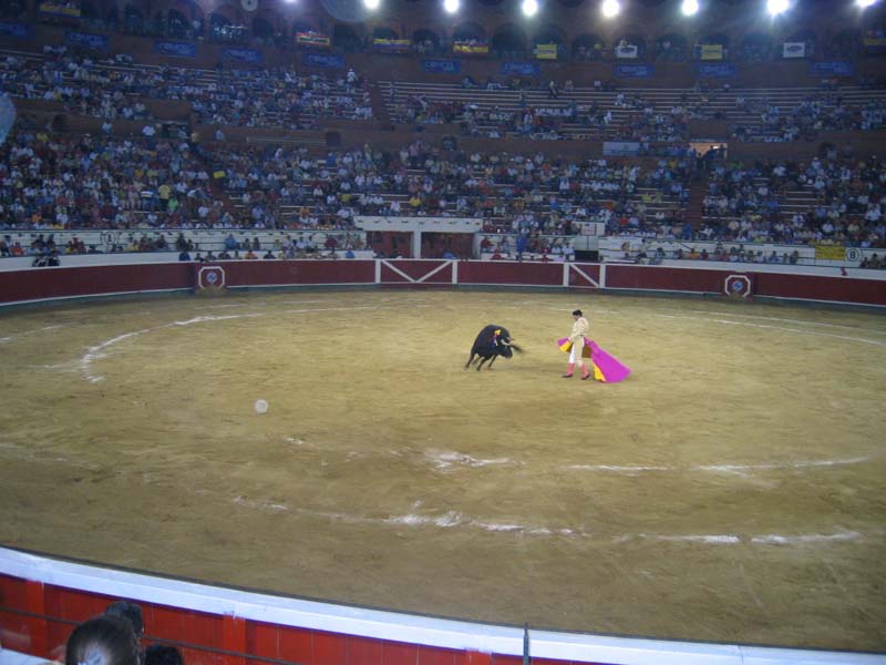 Bull-Fight-043